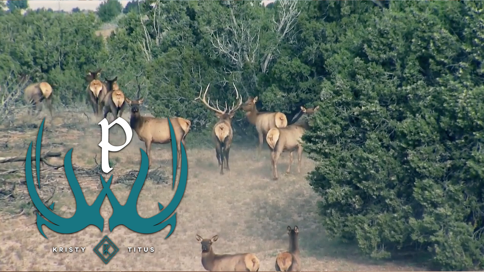 General Elk Hunting Tips with Kristy Titus | RMEF Media | Rocky ...