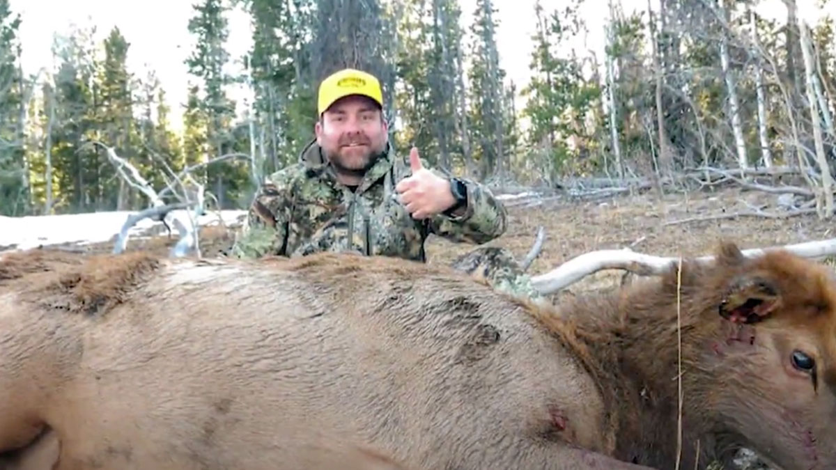 Veterans Punch Elk Tags at Utah Freedom Hunt Rocky Mountain Elk