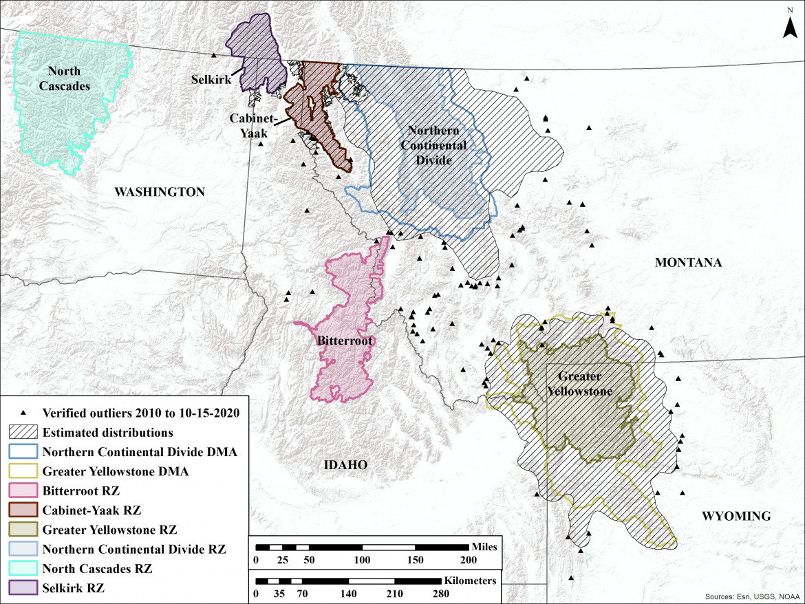 Tis the Season, Grizzly Bears Emerge from Dens | Rocky Mountain Elk ...