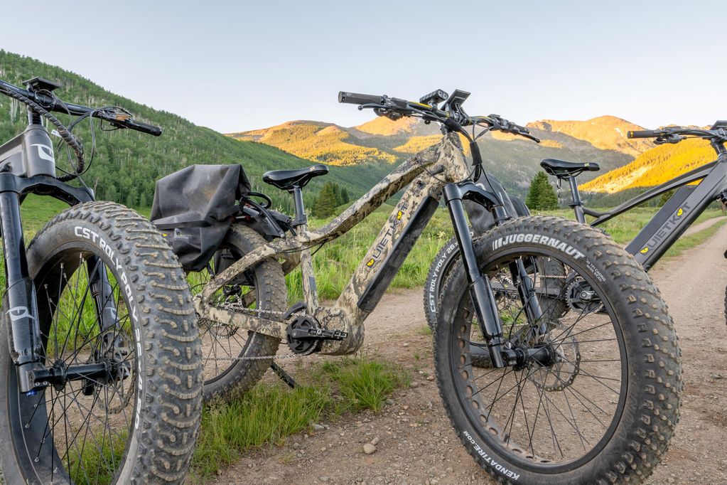 fat tire electric bike hunting