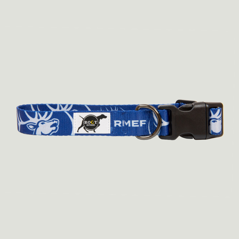 Everton dog sale collar