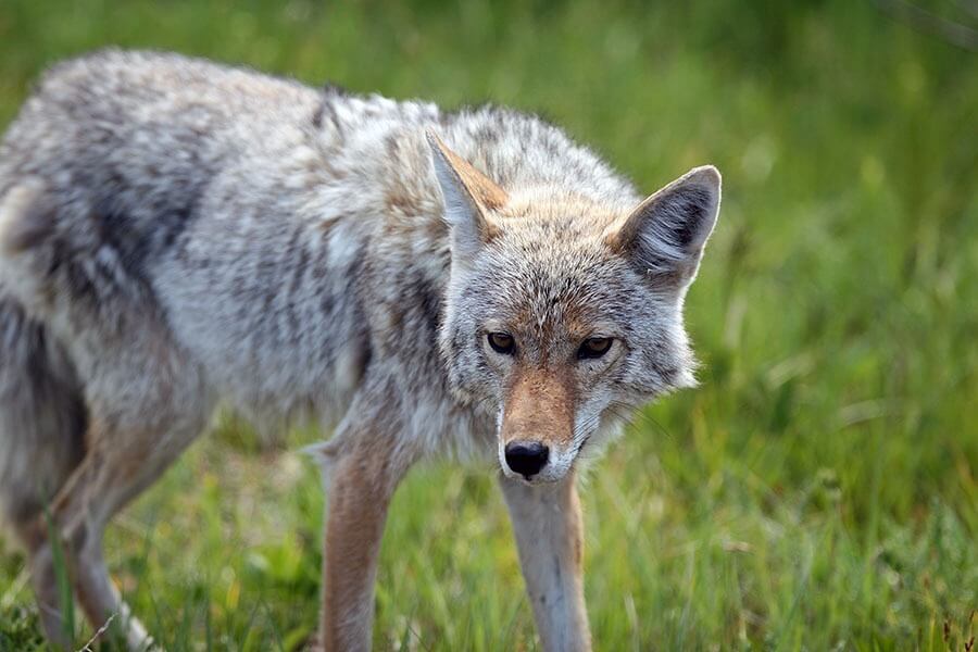 www.rmef.org