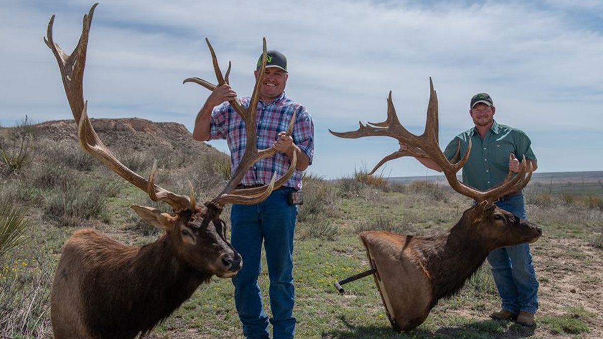 Yes, There Are Monster Bull Elk in Oklahoma Rocky Mountain Elk Foundation