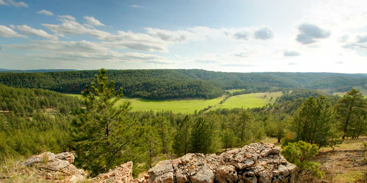 RMEF Grants Improve Elk Habitat, Expand Public Access in South Dakota