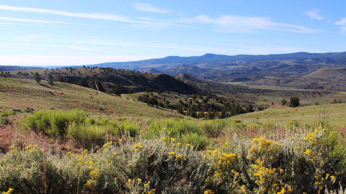 Key Wildlife Habitat Protected In Central Oregon | Rocky Mountain Elk ...