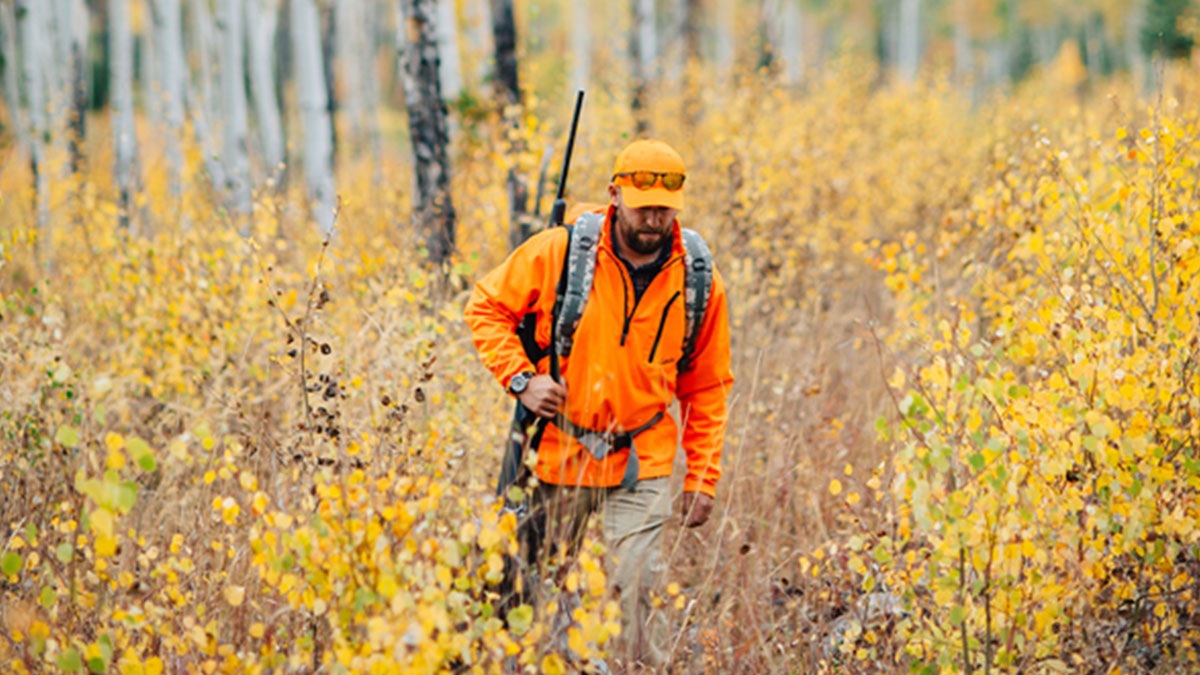 More Hunters Are Heading Afield In Colorado | Rocky Mountain Elk Foundation